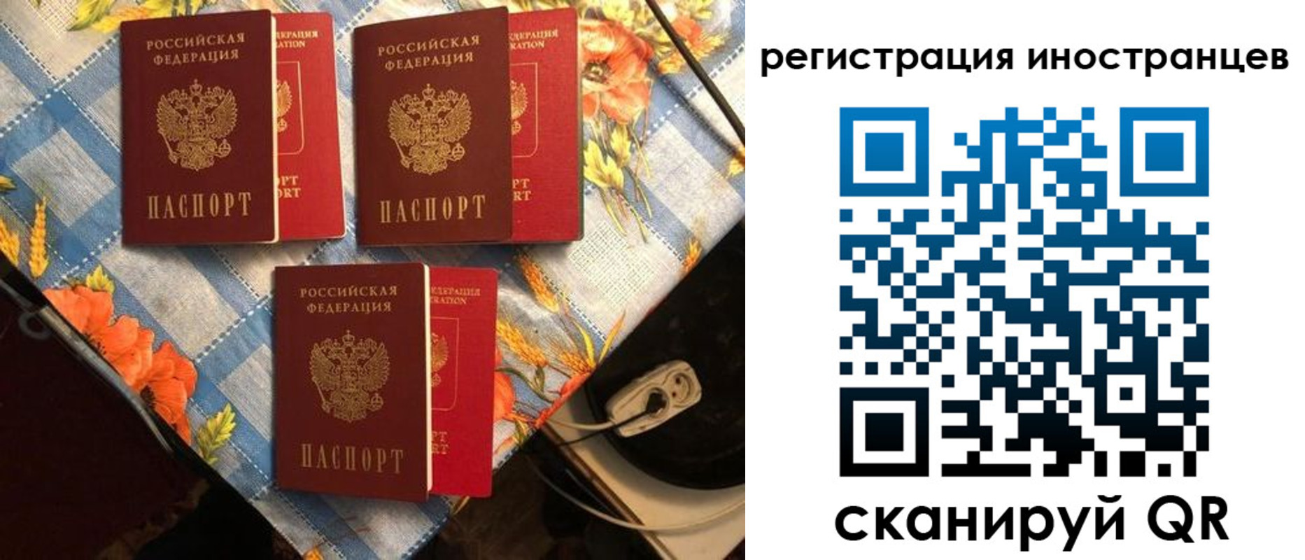 прописка поиск в Менделеевске